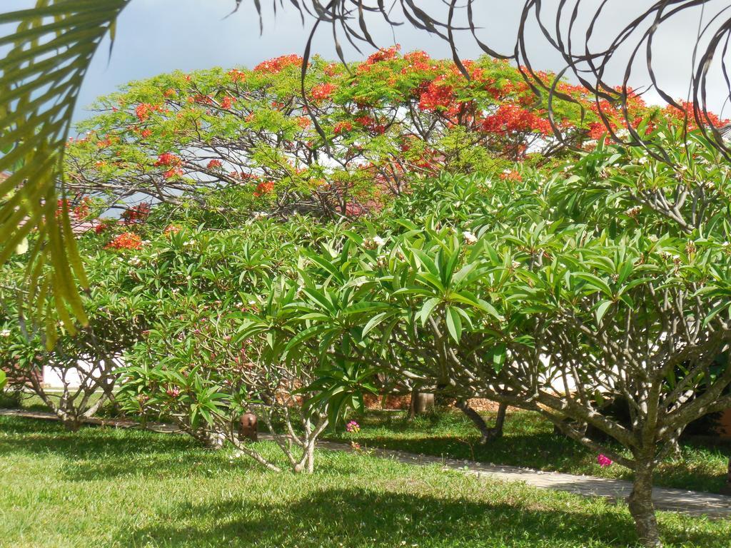 Swahili Beach Resort Zanzibar ภายนอก รูปภาพ